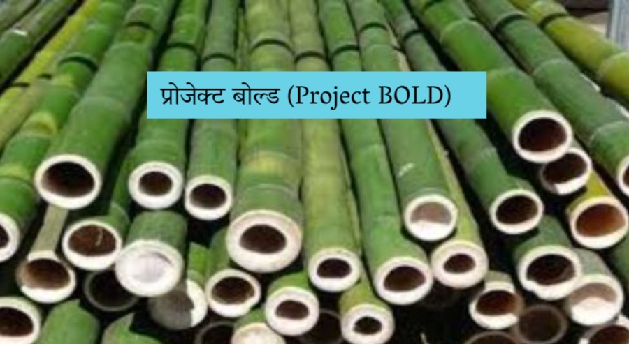 प्रोजेक्ट बोल्ड (Project BOLD)-https://myrpsc.in