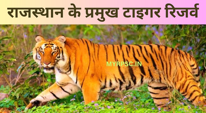 राजस्थान के प्रमुख टाइगर रिजर्व I Tiger Reserve in Rajasthan-https://myrpsc.in